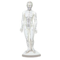 Modello di corpo umano femminile 46 cm: 361 punti di agopuntura e 80 punti curiosi