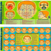 Foglio Riflessologia del viso A4