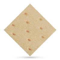 Herbiform Plus perforato 2mm