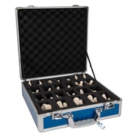 Set di 24 vertebre BONElike