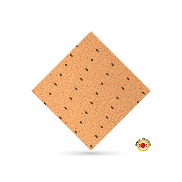 Evastar antibatterico: efficace contro i batteri Escherichia Coli e Staphylococcus Aureus (90 x 100 cm)