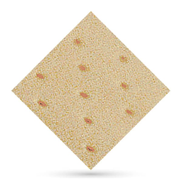 Carne traforata erbiforme 1 x 1 metri 1,5 mm