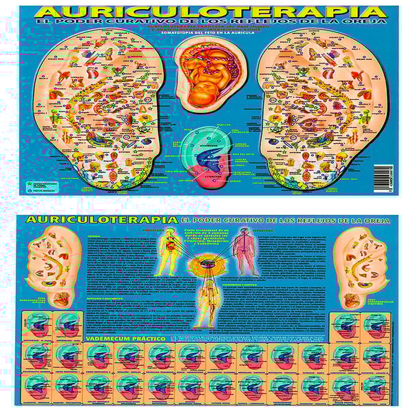 Poster di auricoloterapia il potere curativo dei riflessi dell'orecchio