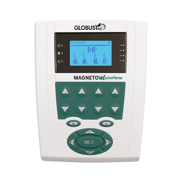 MagnetoVet 4000 Horse Pro: Terapia Magnetoterapica per Cavalli (coperta e copricollo con solenoidi inclusi)