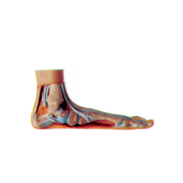 Piede espositivo piatto