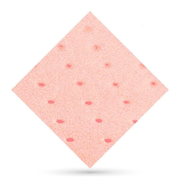 Plastazote perforato 3mm