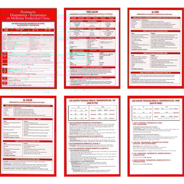 Manuale Diagnostico - Terapeutico in MTC