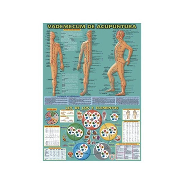 Vademecum di agopuntura 50 x 70 cm