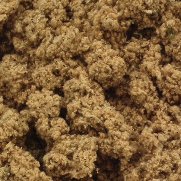 Wakakusa Moxa Giapponese 100 grammi (alta qualità): Ideale per l’ago caldo