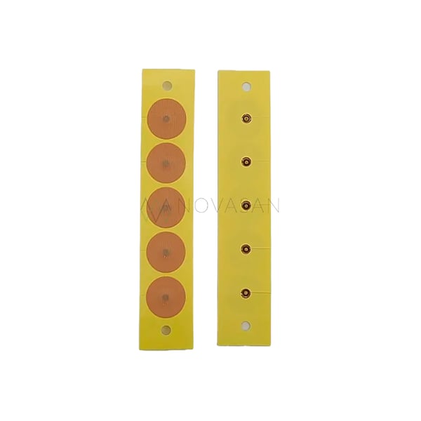 Pellet d'acciaio Magrain (50 pezzi): agopressione auricolare precisa e professionale