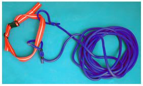 Cintura di resistenza per nuoto Nuova 5m. densità di luce