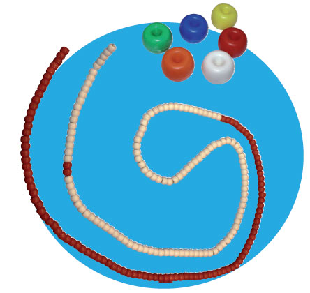 Corda corsia acquatica Roma (Donut) con corda e moschettone (25 metri)