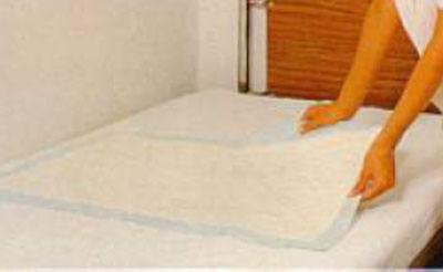 Teli assorbenti de Cellulosa 60 X 60cm (scatola da 200 unità)