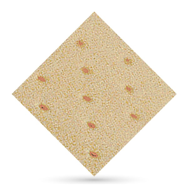 Herbiform Plus perforato 2mm