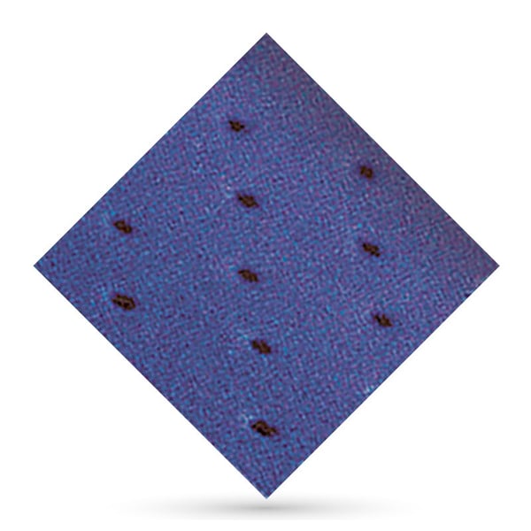 Herbiform Perforato Blu 1,5mm