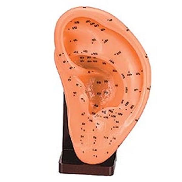 Orecchia Sinistra in Gomma Morbida 17 cm