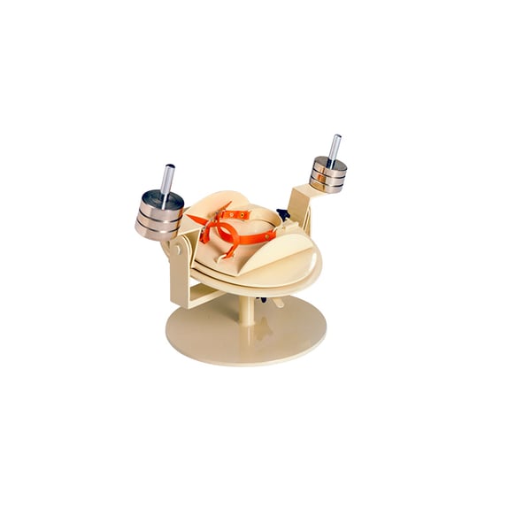 Dispositivo per esercizi di rieducazione della caviglia: ideale per trattamenti riabilitativi e fisioterapici