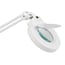 Lampada d'ingrandimento ad ampia luce fluorescente con tre ingrandimenti (base arrotolabile) Lampada d'ingrandimento ad ampia luce fluorescente con tre ingrandimenti (base arrotolabile)