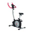 Cyclette 1300: Cardio magnetico silenzioso per uso domestico