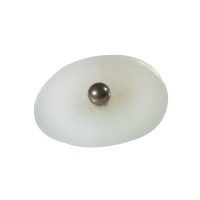 Perle terapeutiche auricolari in metallo con adesivo trasparente (300 unità)