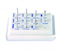 Fragole dentali Fragole dentali