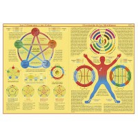 Poster dei cinque elementi e dei loro cicli: Circolazione dei meridiani