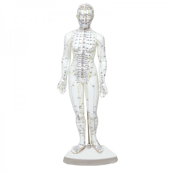 Modello di corpo umano femminile 46 cm: 361 punti di agopuntura e 80 punti curiosi