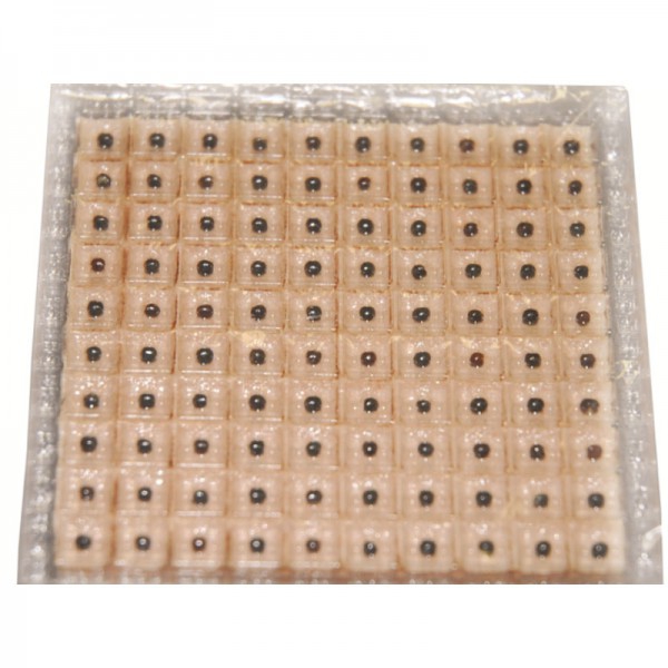 Semi di Erbe con Adesivo Quadrato per Auricoloterapia (1000 unità)