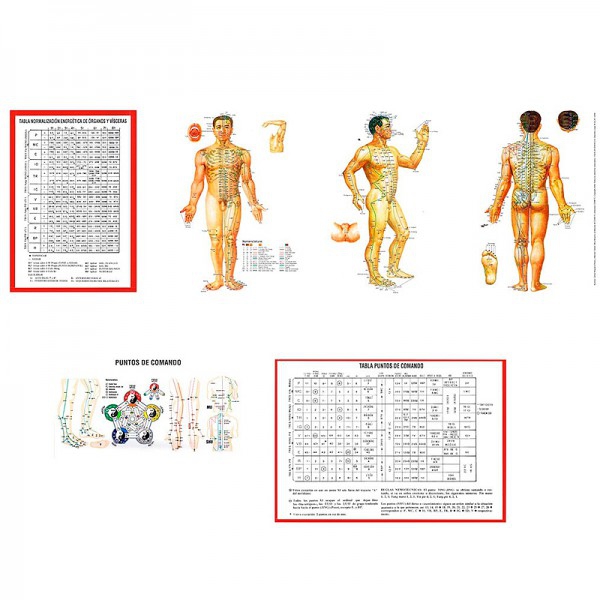 Trittico plastificato della guida pratica di anatomofisiologia della MTC Trittico plastificato della guida pratica di anatomofisiologia della MTC