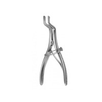 Bavaglio alla bocca di Roser Koenig (FINO A FINE SCORTE) Bavaglio alla bocca di Roser Koenig (FINO A FINE SCORTE)