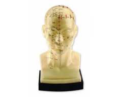 Modelli di agopuntura