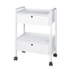 Carrello bianco metallico Easy Plus: dotato di 2 ripiani e 2 cassetti con chiave Carrello bianco metallico Easy Plus: dotato di 2 ripiani e 2 cassetti con chiave