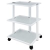 Carrello multifunzione metallico bianco per fisioterapia, podologia ed estetica: dotato di 3 ripiani in vetro traslucido Carrello multifunzione metallico bianco per fisioterapia, podologia ed estetica: dotato di 3 ripiani in vetro traslucido