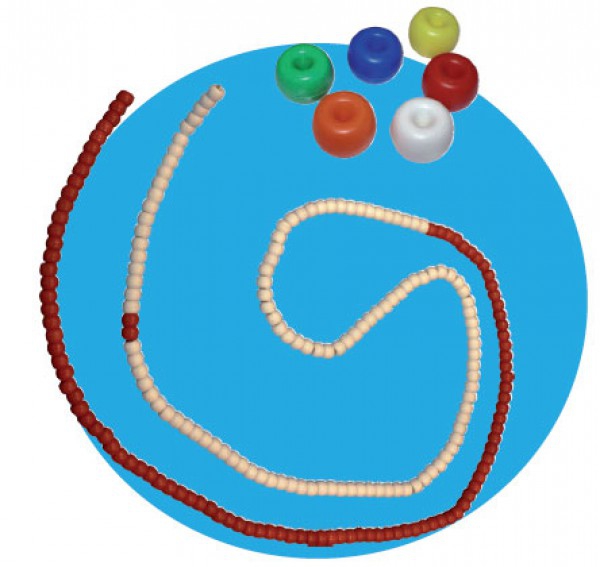 Corda corsia acquatica Roma (Donut) con corda e moschettone (25 metri) Corda corsia acquatica Roma (Donut) con corda e moschettone (25 metri)