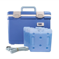 Frigorifero portatile THERMOLABIL® da 10 litri: trasporto sicuro dei farmaci Frigorifero portatile THERMOLABIL® da 10 litri: trasporto sicuro dei farmaci