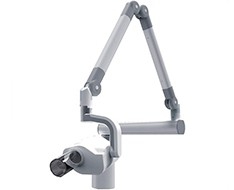 Radiografia intraorale Radiografia intraorale